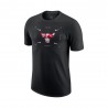 Nike T-Shirt Basket Nba Ess Atc Logo 2 Bulls Nero Rosso Bambino