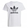 ADIDAS Originals T-Shirt Big Logo Bianco Bambino