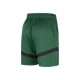 Nike Pantaloncini Basket Nba Celtics Icon Verde Nero Uomo