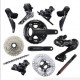 Shimano Gruppo Completo Bici Ultegra 12V R8100 172,5MM 50-34 11-30