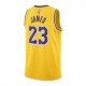 Nike Canotta Basket Nba Lakers Lebron Giallo Viola Uomo